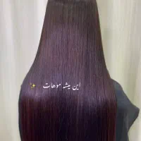 کراتین|خدمات آرایشگری و زیبایی|رشت, معلم|دیوار