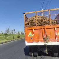 تریلی تراکتور|خودرو سنگین|پیرانشهر, |دیوار