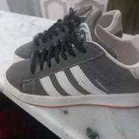 کفش|کیف، کفش، کمربند|محمدیه-قزوین, |دیوار