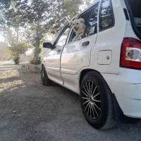 سگ اشپیتز ماده|سگ|اندیشه, شهرک صدف|دیوار