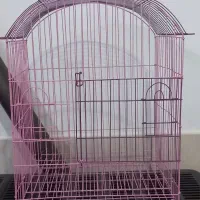 قفس کاسکو بزرگ