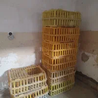 دستگاه پر کن مرغ|فروشگاه و مغازه|گتوند, |دیوار