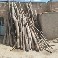 خریدار چوب خشک سقفی