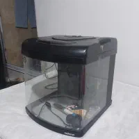 آکواریوم