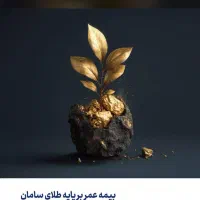 بیمه عمر و سرمایه‌گذاری طلایی سامان|خدمات مالی، حسابداری، بیمه|دوگنبدان, |دیوار