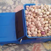 وانت نیسان بار کرایه