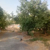 ۵ هزار متر زمین مشارکت سند دار