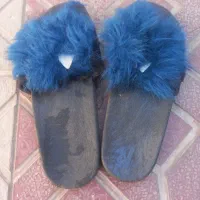 تعداد محدودی دم پایی زنانه|کیف، کفش، کمربند|سبزوار, قدس|دیوار