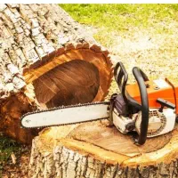 چوب بری با اره موتوری