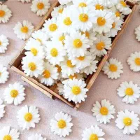 شمع بابونه،پک شمع اقتصادی