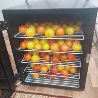 میوه خشک‌کن