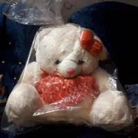 اسباب بازی و خرس بزرگ و عروسک|اسباب‌بازی بچه|مشهد, عبادی|دیوار