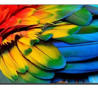 تلویزیون LED هوشمند بویمن سایز 65 اینچ