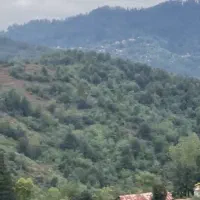 ۹۰۰متر زمین روستایی در سیاهکل