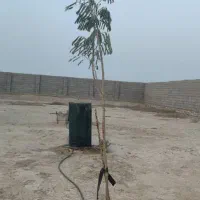 فروش زمین سه راه خیراندیش|فروش دفتر صنعتی، کشاورزی، تجاری|بوشهر, |دیوار