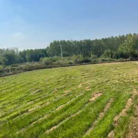 فرصتی-استسنائی-50000متر-باغ-ویلا-در-محیطی-بکر