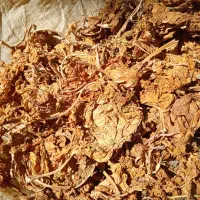 زغال( برگ تنبا کو سرخ)|عمدهفروشی|برازجان, |دیوار