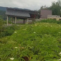 زمین سراوان روستای توریستی کچاء