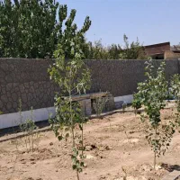 باغ گل مینا کهریزسنگ قولنامه ای|فروش خانه و ویلا|نجف‌آباد, کهریزسنگ|دیوار