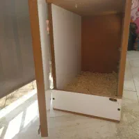 لانه پرنده طوطی|لوازم جانبی حیوانات|پاکدشت, پاکدشت (مامازند)|دیوار