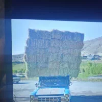 سرچینه کاه و