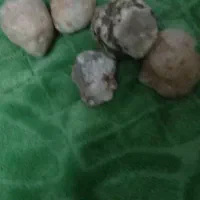 سنگ خاص|کلکسیون اشیاء عتیقه|محمدیه-قزوین, |دیوار