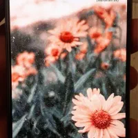 S21feگوشی سامسونگ