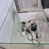 فروش|ماهی|بندرعباس, |دیوار