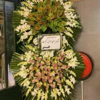 گل رز هلندی سبد گل نمایشگاه|گل و گیاه طبیعی|قم, بلوار امین و ساحلی|دیوار