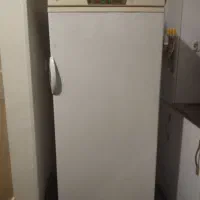 یخچال فریزر ارج