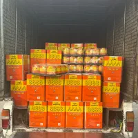 فروش چسب صنعتی پارس 8888 همه کاره