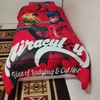 روتختی دخترکفشدوزکی وگربه سیاه