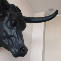 مجسمه گاو بوفالو فایبرگلاس|مجسمه، تندیس، ماکت|قزوین, |دیوار