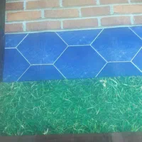 ایزوگام آسفالت نانو قیر ربانی همدانی یک ساله|خدمات پیشه و مهارت|نجفآباد, بازار|دیوار