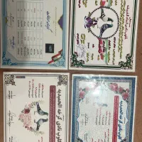 کبوتر مسافتی