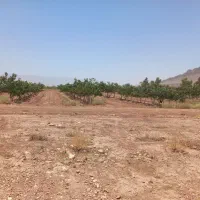 فروش-یا-معاوضه-زمین-در-منطقه-باغهای-پسته-سروستان