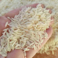 برنج درجه یک هاشمی الک زده