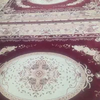 فرش در حد نو