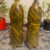خیارشور تمیز و خوشمزه