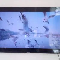 تلویزیون ۴۸تصویر۲۰|تلویزیون و پروژکتور|یزدان شهر, |دیوار