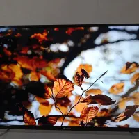 تلوزیون 43اسنوا