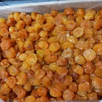 آلوچه زرد و سیاه خیس