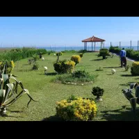 مشارکت در ساخت زمین ساحلی