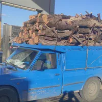 قطع درخت ،هرس،خرید انواع چوب و درخت|خدمات باغبانی و درختکاری|شاهرود, |دیوار