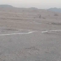 زمین ۱۰۰۰متر میدان تره بار واگذار شهرداری باغ ویلا