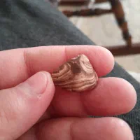 سنگ زیبا|کلکسیون اشیاء عتیقه|قم, باغ کرباسی|دیوار