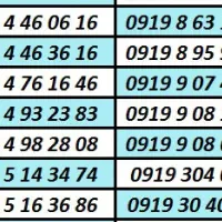 0919.3087616|سیم‌کارت|کرج, بنیاد|دیوار