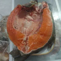 ماهی سالمون و قزل آلا