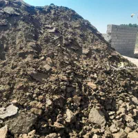 کود حیوانی گاو (صنعتی)