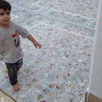 فروش فرش ۱۲ متری|فرش|الیگودرز, |دیوار